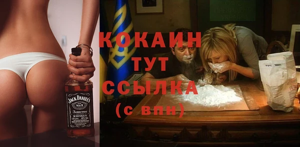 прущие грибы Нея
