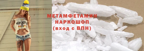 прущие грибы Нея