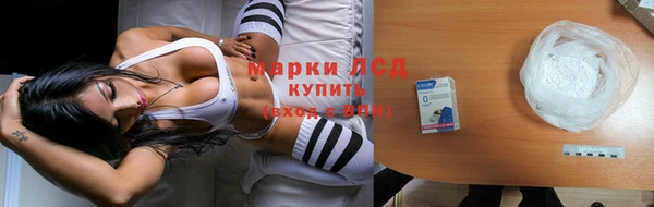 прущие грибы Нея