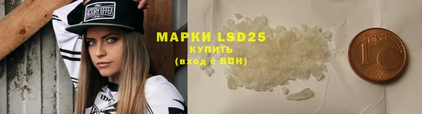 прущие грибы Нея