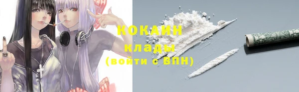 прущие грибы Нея
