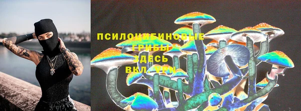 прущие грибы Нея