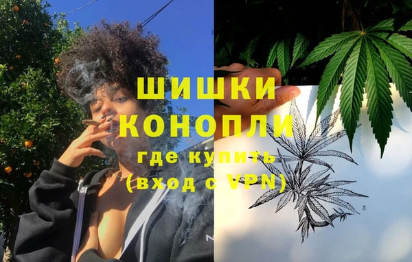 прущие грибы Нея