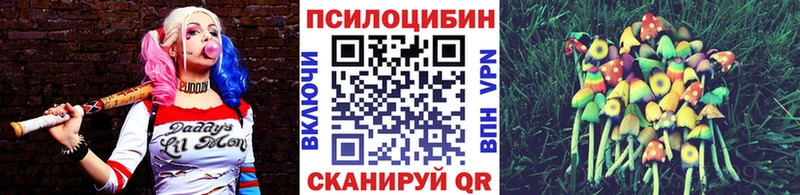 маркетплейс наркотические препараты  omg как зайти  Кологрив  Галлюциногенные грибы Psilocybine cubensis 